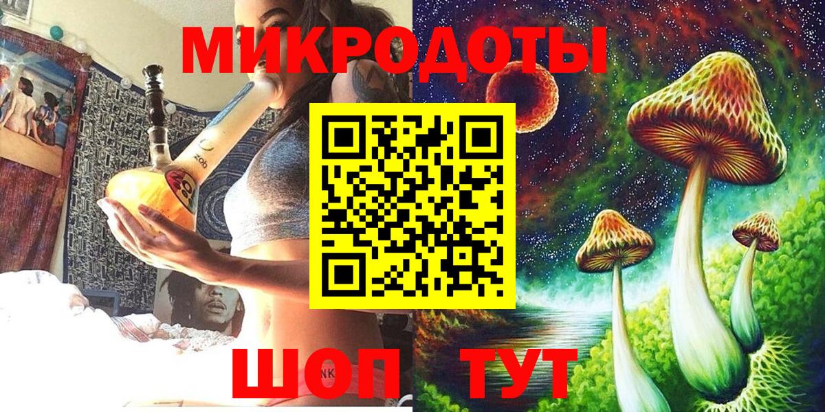 Псилоцибиновые грибы Psilocybine cubensis Реутов