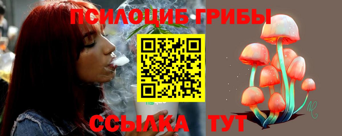 как найти   Реутов  Псилоцибиновые грибы мухоморы  Псилоцибиновые грибы Magic Shrooms 